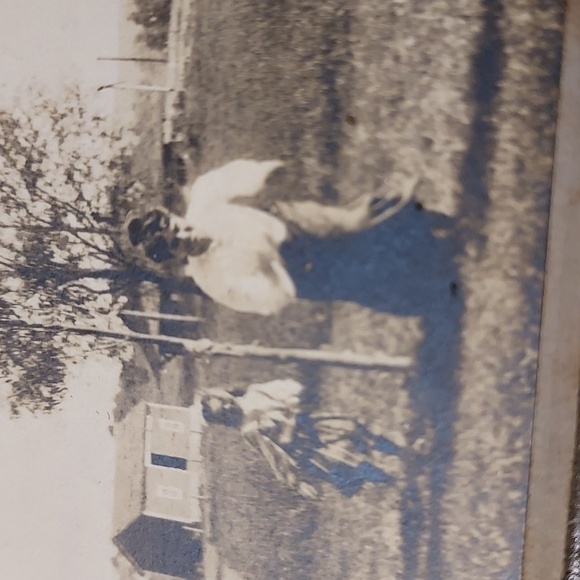 Antique Cabinet Card Photos of Houses Marked W E Smith Reading Mass - Picture 5 of 10